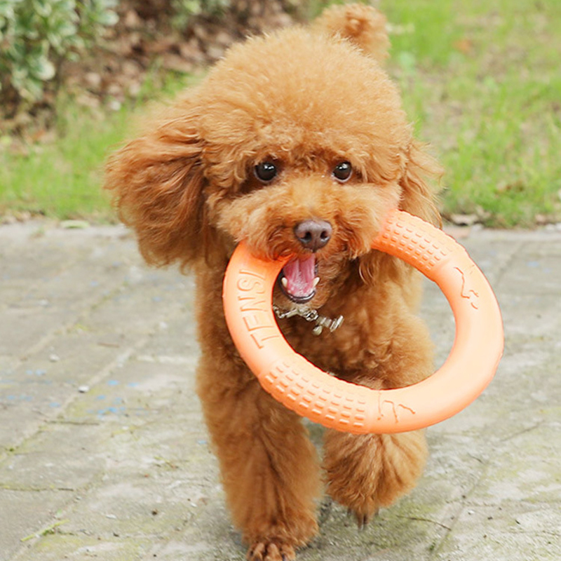 1pc Orange Dog Toys Pet Flying - Indestructible Dog Chew Toy ulasan dan harga