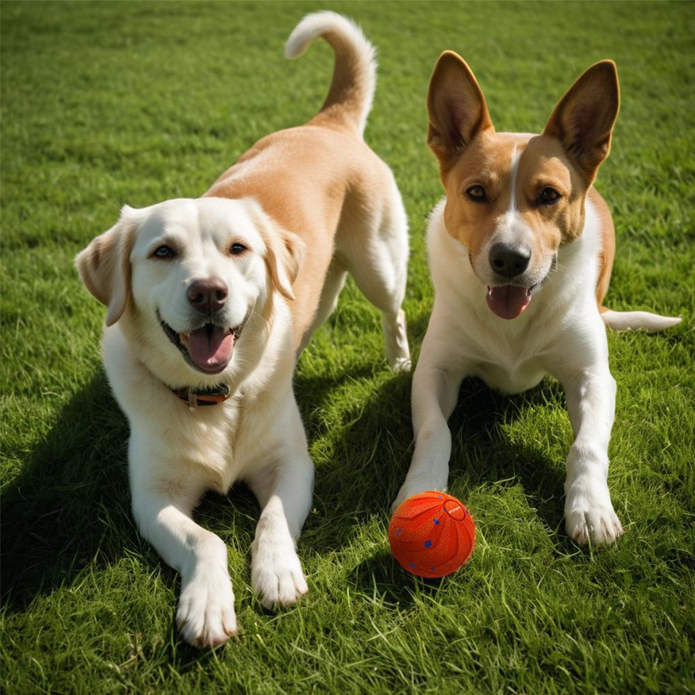 Bite Resistant Smart Dog Ball  - Automatic Moving Dog Ball ulasan dan harga