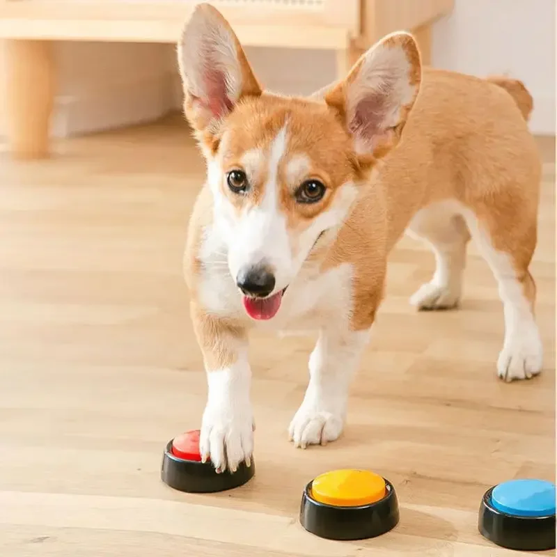 2026 Recordable Talking Pet Bu - Interactive Squeaky Plush Dog Toy ulasan dan harga