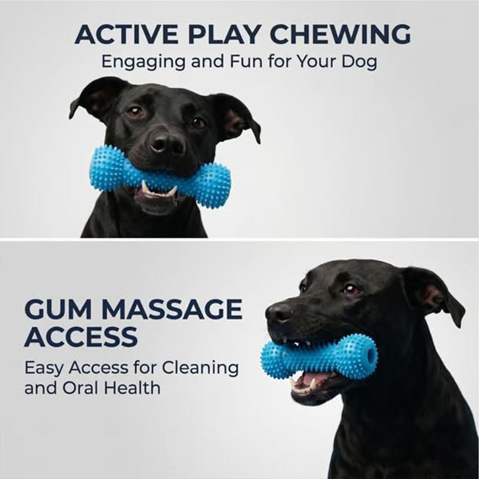 Dog Toothbrushing Toys Chewer  - Rubber Treat Dispensing Dog Toy ulasan dan harga