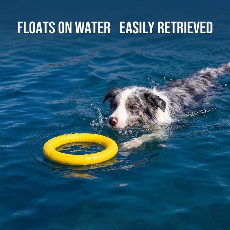 Dog Toys Pet Flying Discs EVA  - Flying Disc Dog Training Toy ulasan dan harga