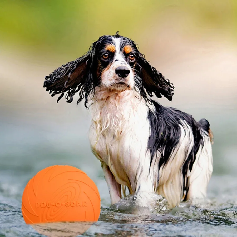 G Large Dog Golden Fur Pet Fly - Flying Disc Dog Training Toy ulasan dan harga